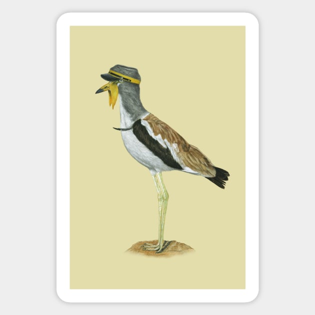 White-crowned lapwing Sticker by Mikhail Vedernikov